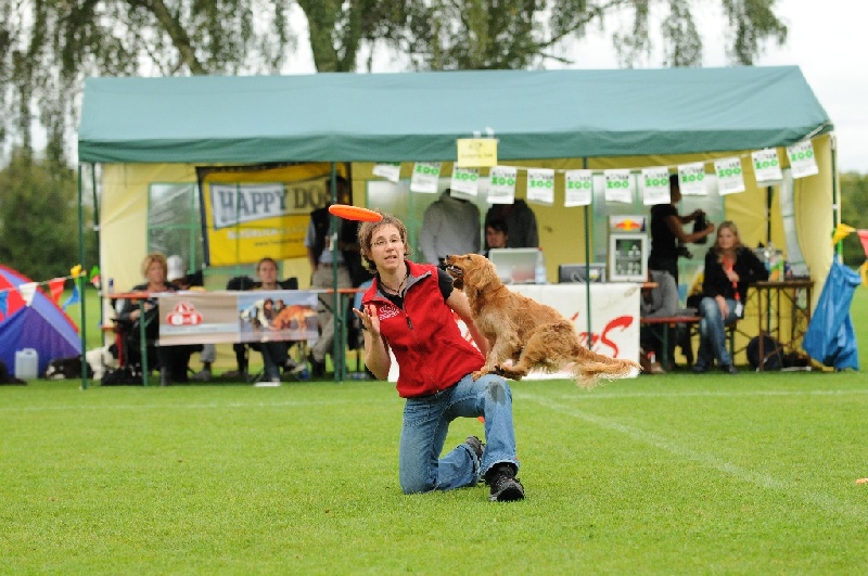 Image 414 of 855  -  252 kB