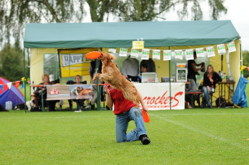 Image 415 of 855  -  248 kB