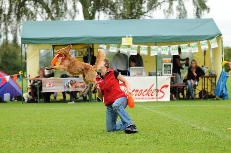 Image 416 of 855  -  250 kB