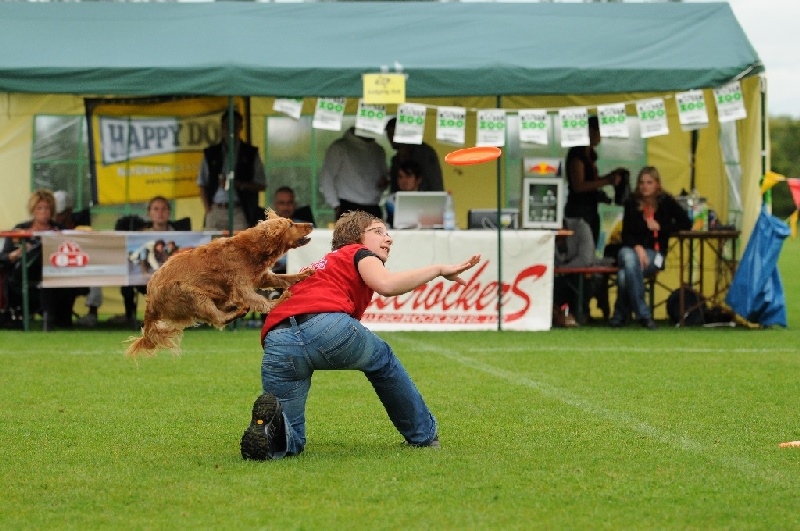 Image 417 of 855  -  242 kB