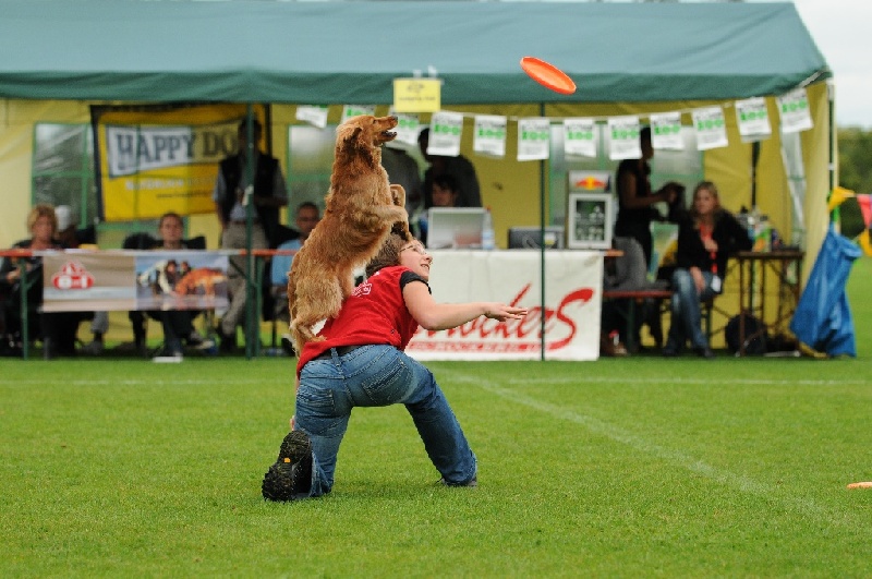 Image 418 of 855  -  238 kB