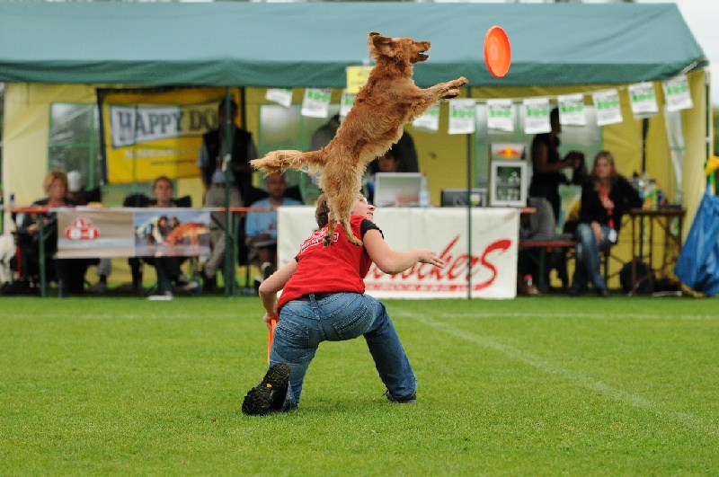 Image 419 of 855  -  239 kB