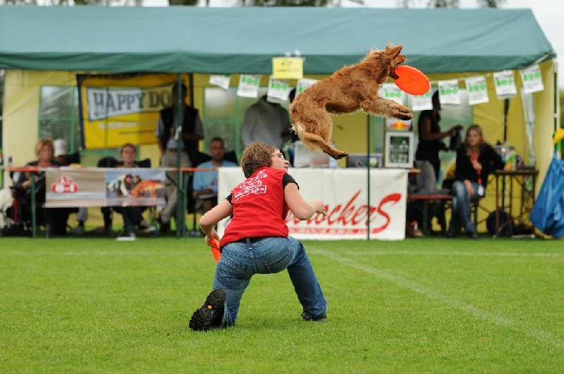 Image 420 of 855  -  242 kB