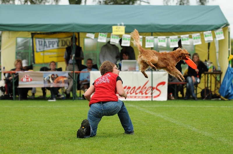 Image 421 of 855  -  242 kB