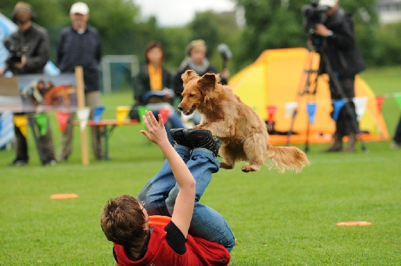 Image 422 of 855  -  221 kB