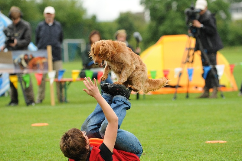 Image 423 of 855  -  216 kB