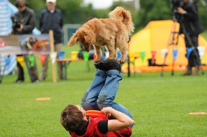 Image 424 of 855  -  223 kB