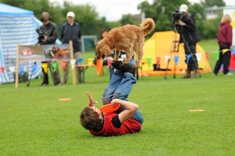 Image 425 of 855  -  243 kB