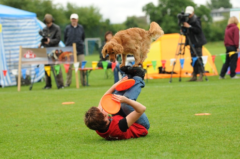 Image 426 of 855  -  242 kB