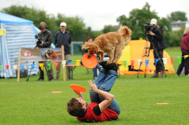 Image 427 of 855  -  228 kB