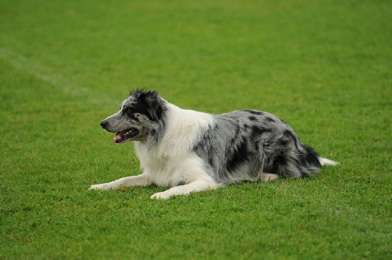 Image 429 of 855  -  236 kB