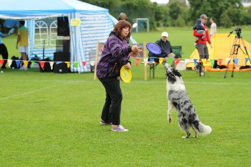 Image 430 of 855  -  265 kB