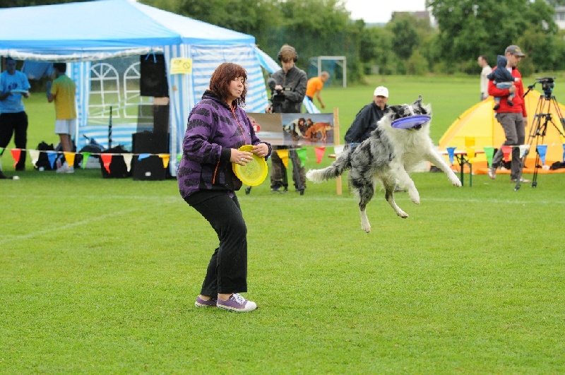 Image 431 of 855  -  268 kB