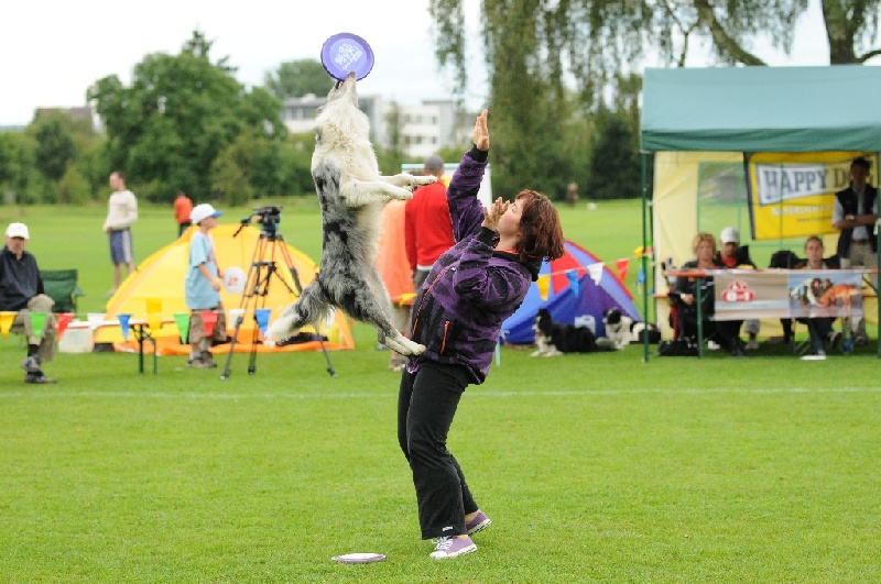 Image 432 of 855  -  244 kB