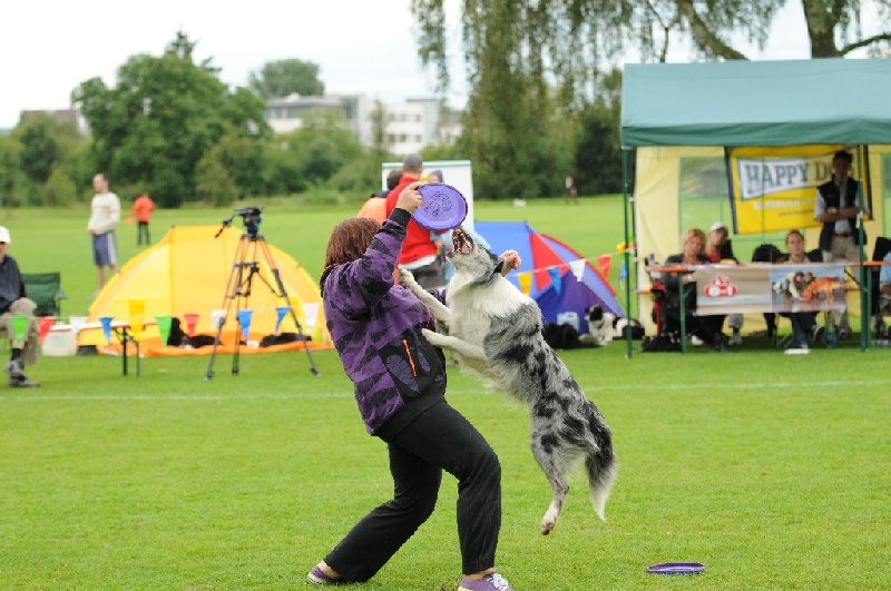 Image 433 of 855  -  242 kB