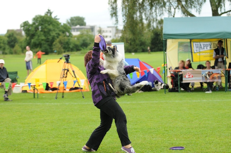 Image 434 of 855  -  238 kB