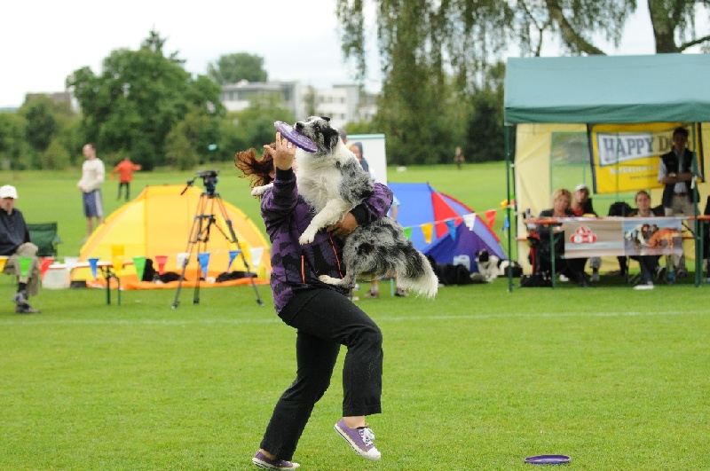 Image 435 of 855  -  238 kB