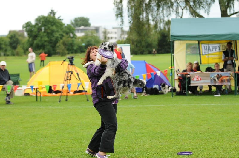 Image 436 of 855  -  239 kB