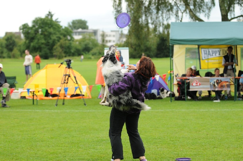 Image 437 of 855  -  227 kB