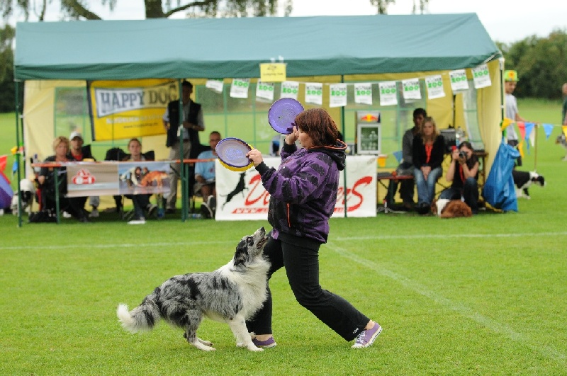 Image 438 of 855  -  248 kB