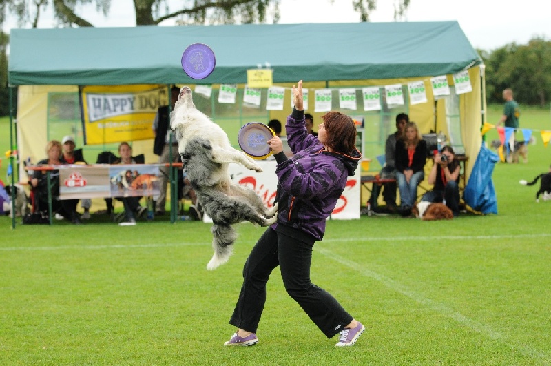 Image 439 of 855  -  240 kB