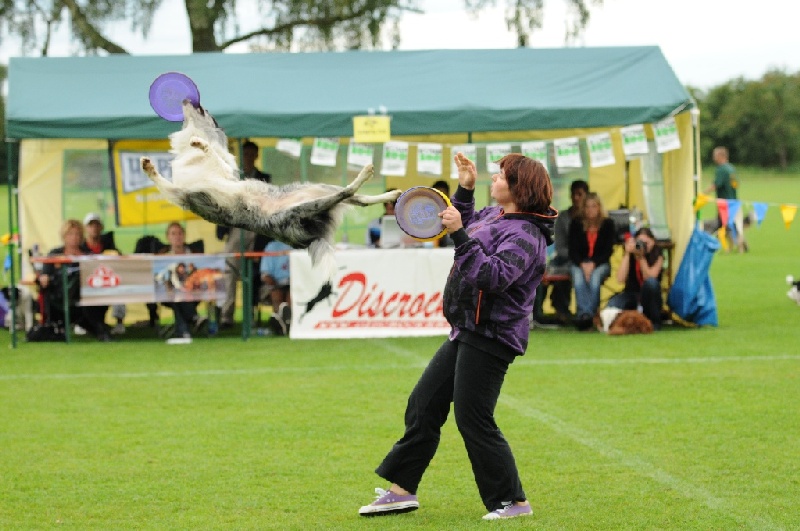 Image 440 of 855  -  217 kB