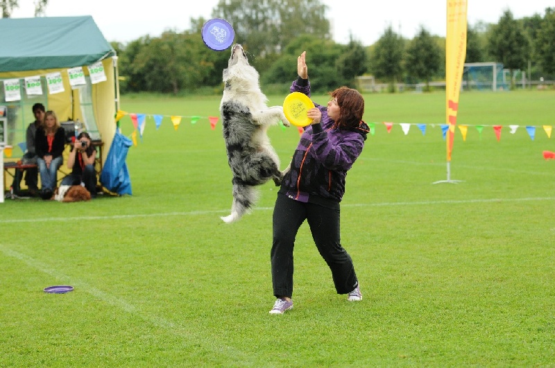 Image 441 of 855  -  246 kB