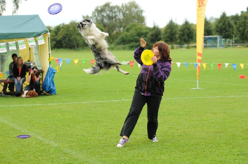 Image 442 of 855  -  244 kB