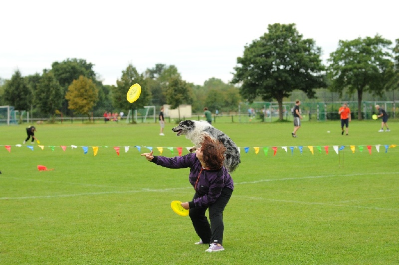 Image 443 of 855  -  217 kB