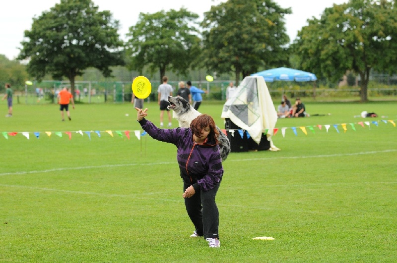 Image 445 of 855  -  246 kB