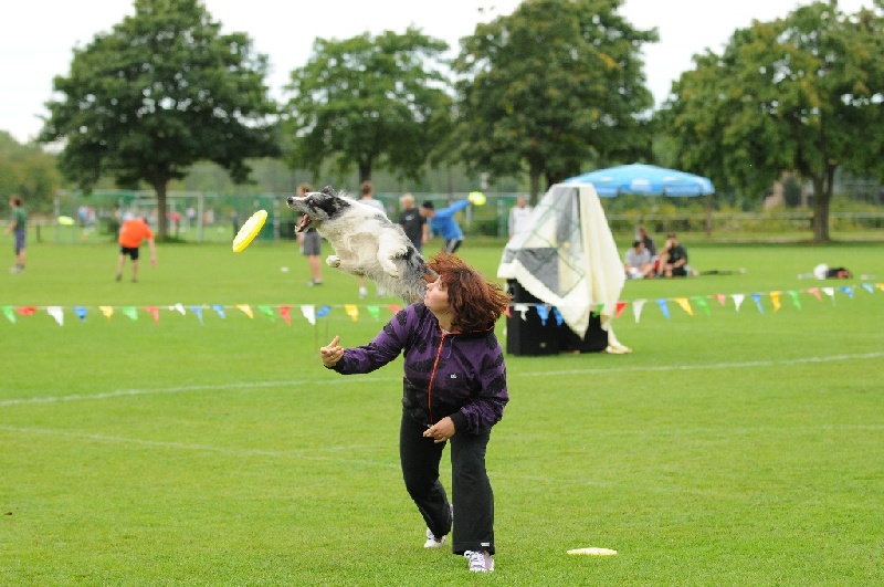 Image 446 of 855  -  234 kB