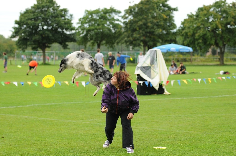 Image 447 of 855  -  236 kB