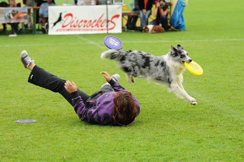 Image 448 of 855  -  257 kB