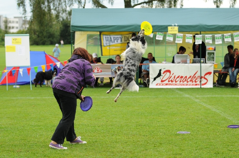 Image 449 of 855  -  261 kB