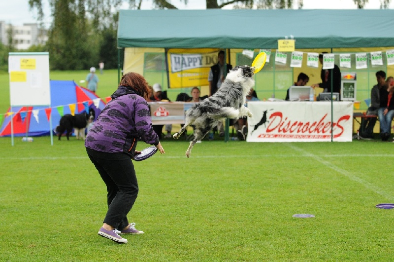 Image 450 of 855  -  249 kB