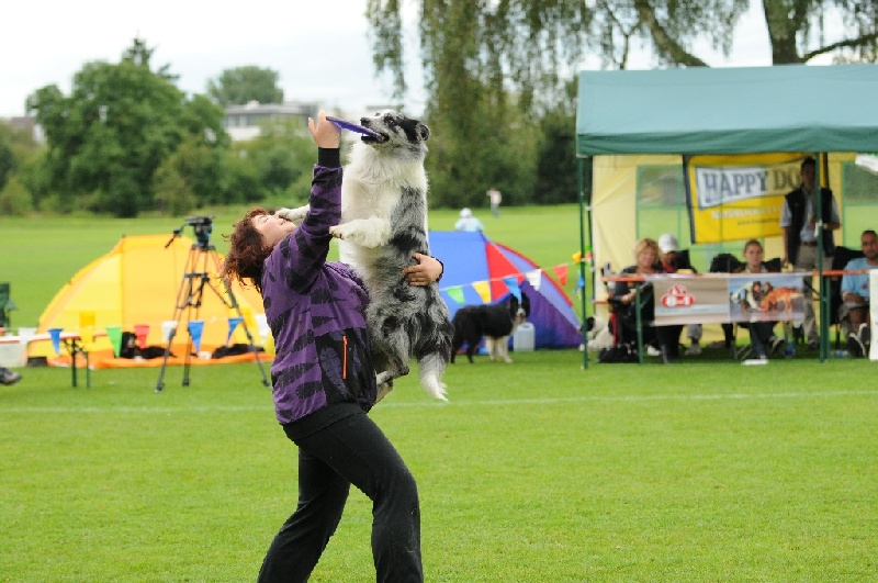 Image 451 of 855  -  237 kB