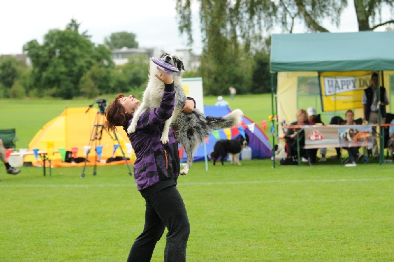 Image 452 of 855  -  223 kB