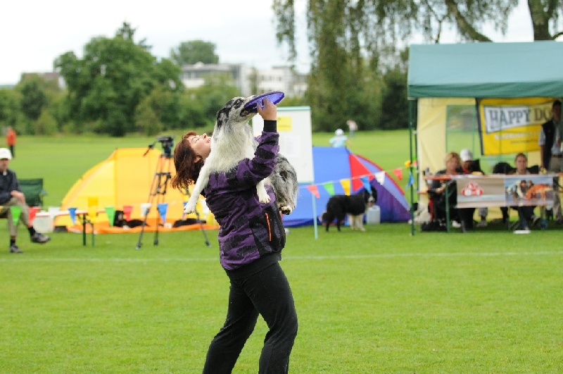 Image 453 of 855  -  219 kB