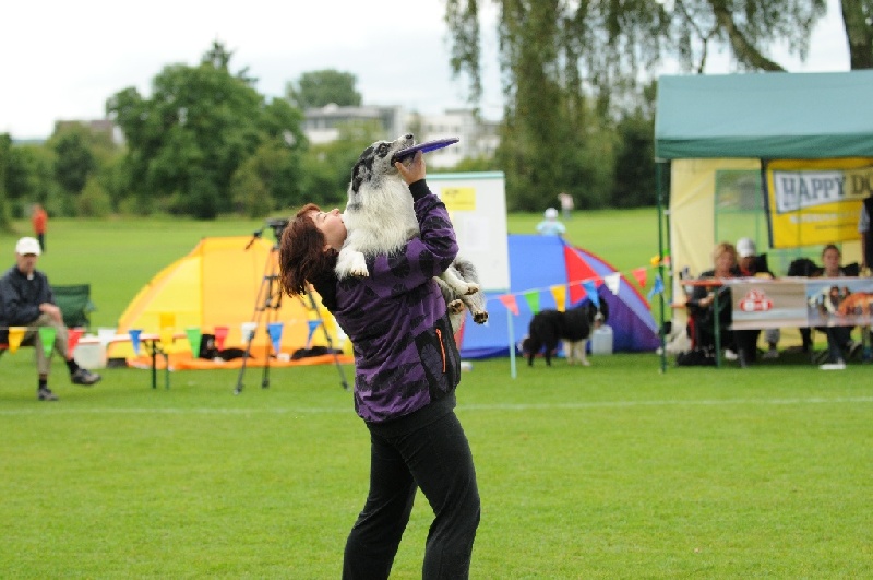 Image 454 of 855  -  213 kB