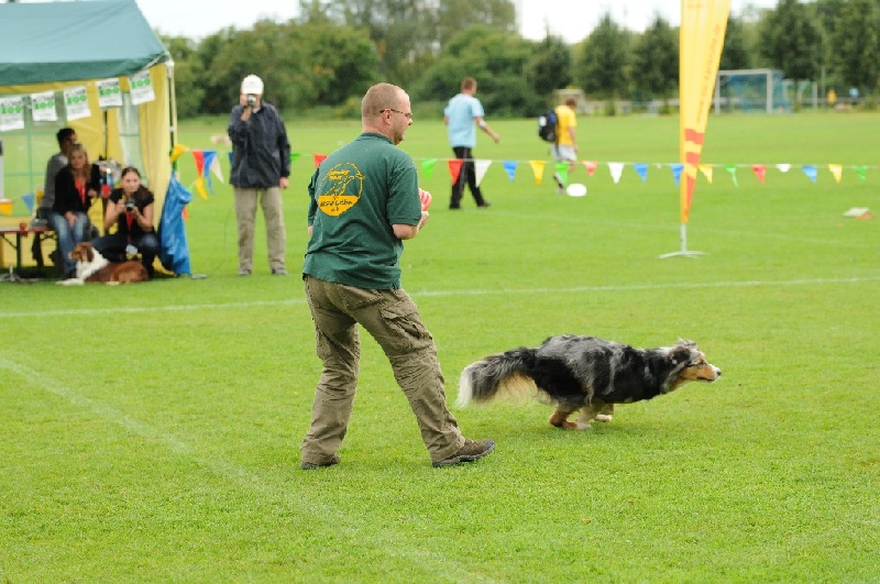 Image 455 of 855  -  251 kB