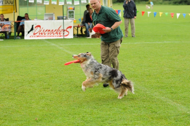 Image 456 of 855  -  257 kB