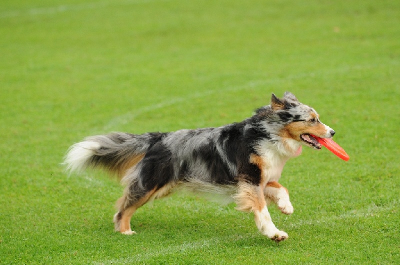 Image 459 of 855  -  214 kB