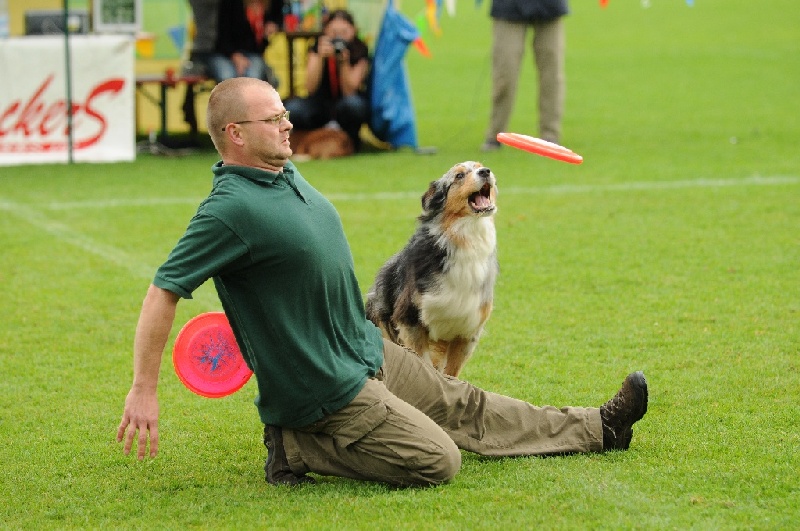 Image 460 of 855  -  234 kB