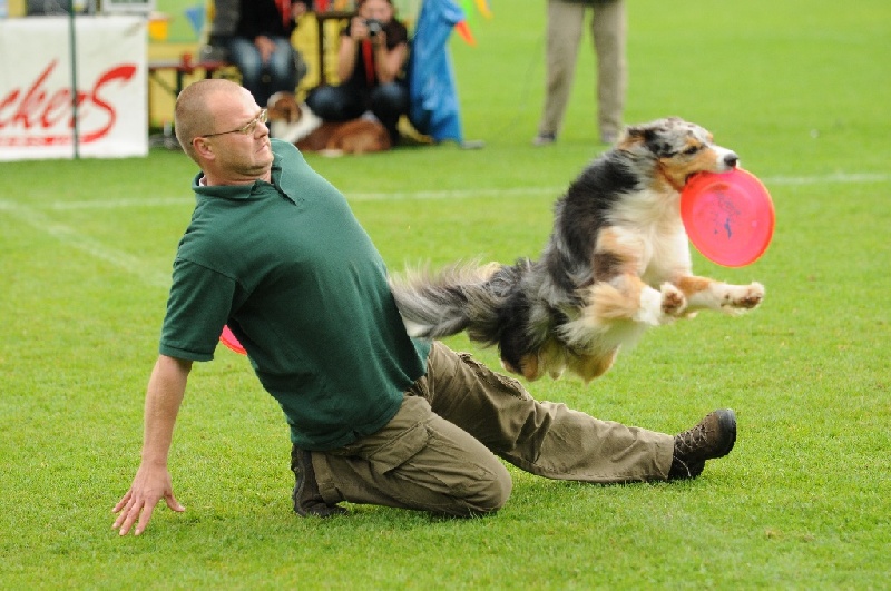 Image 461 of 855  -  237 kB