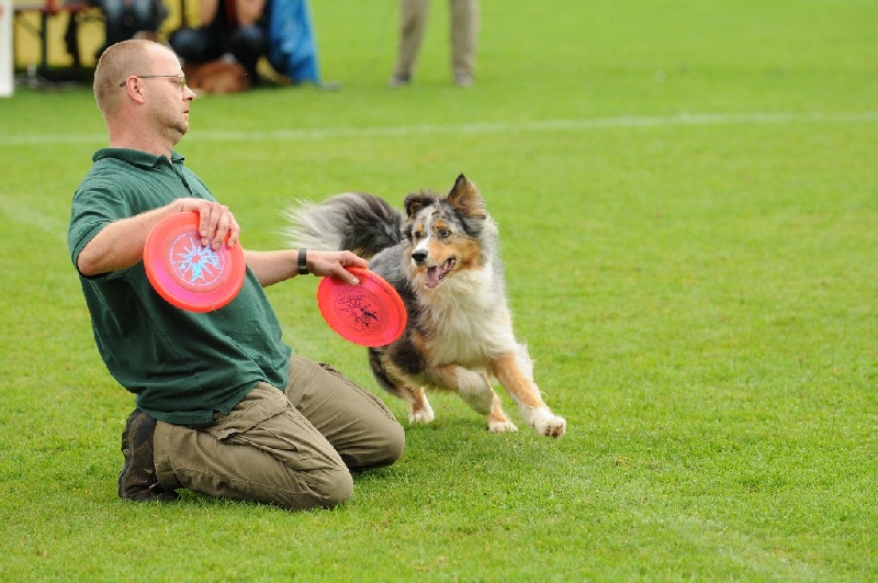 Image 462 of 855  -  238 kB