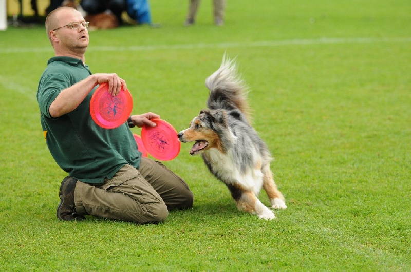 Image 463 of 855  -  238 kB