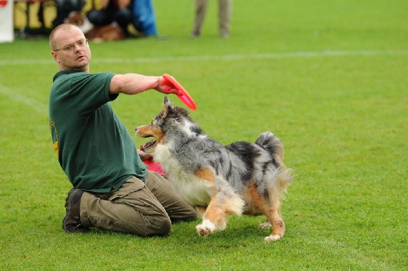 Image 464 of 855  -  233 kB