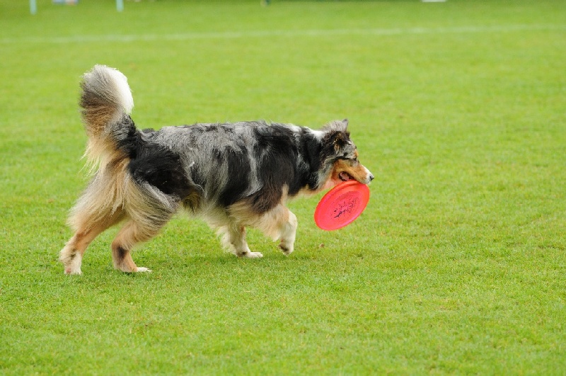 Image 465 of 855  -  236 kB