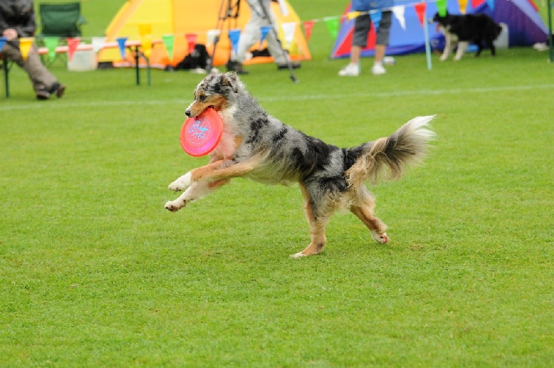 Image 467 of 855  -  244 kB