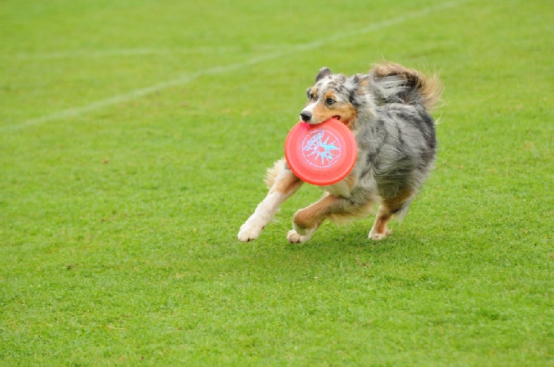 Image 468 of 855  -  222 kB